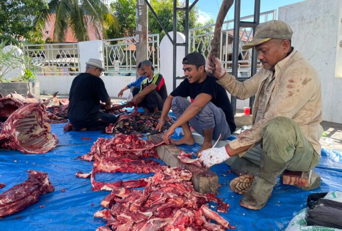 Warga Mibo Gotong Royong Potong 33 Hewan Qurban