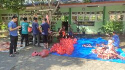 MIN 6 Aceh Besar Sembelih 6 Ekor Sapi Qurban, Pererat Kebersamaan Keluarga Madrasah