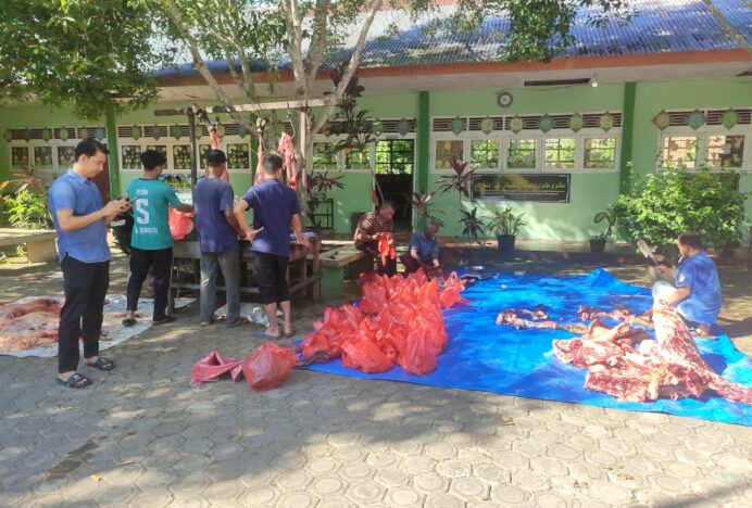 MIN 6 Aceh Besar Sembelih 6 Ekor Sapi Qurban, Pererat Kebersamaan Keluarga Madrasah