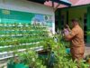 Tiga MIN di Aceh Besar Terpilih Jadi Sekolah Adiwiyata Tingkat Kabupaten