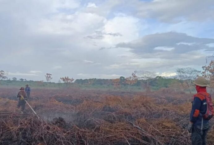 Karhutla di Bubon Kian Kondusif, BPBD Aceh Barat Tetap Lakukan Pemantauan