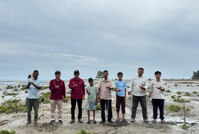 Jaga Abrasi dan Habitat Biota Laut, Mahasiswa PWK USK Tanam 200 Mangrove di Pesisir Lambadeuk