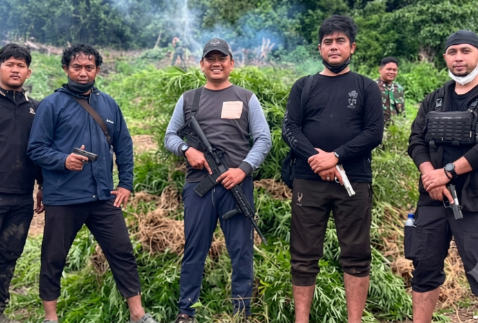 Kodam IM Berhasil Ungkap Lahan Ganja 50 Hektare di Pegunungan Nagan Raya