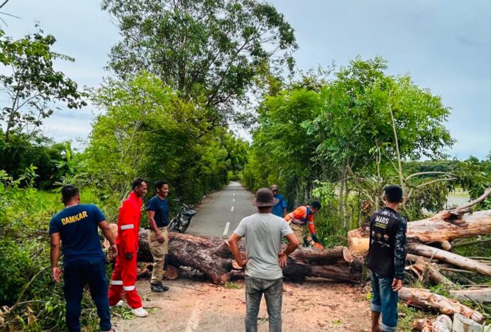 BPBD Aceh Besar Catat Lima Kejadian Dampak Cuaca Ekstrem dalam Dua Pekan Terakhir