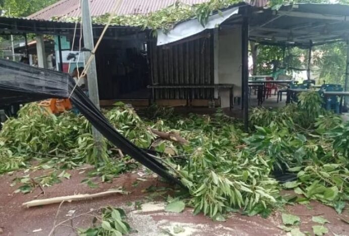 BPBD Sabang Respons Cepat Laporan Pohon Tumbang dari Warga