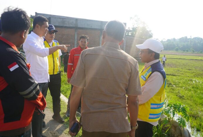 Sekda Aceh Tinjau Rehabilitasi Sawah di Aceh Timur, Dorong Percepatan Pemulihan Sektor Pertanian