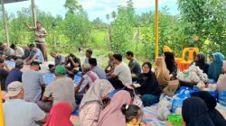 Bentuk Syukur, Petani Gampong Paya Lumpat “Khanduri Bungong Pade”