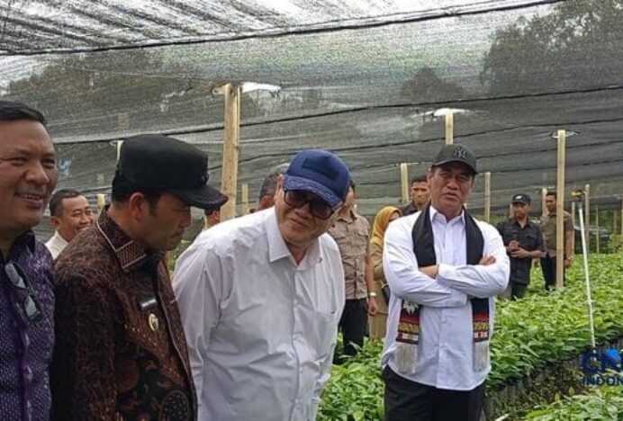 Amran Blusukan ke Perkebunan Kopi di Aceh, Beri Kabar Baik ke Petani