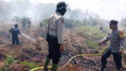 BPBD: Karhutla di Aceh Barat Meluas Menjadi 12,5 Ha di Empat Kecamatan