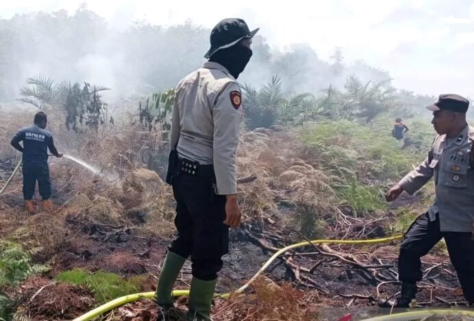 BPBD: Karhutla di Aceh Barat Meluas Menjadi 12,5 Ha di Empat Kecamatan