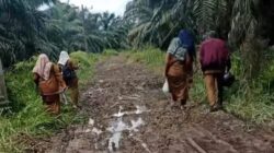 Jalan Rusak jadi Kendala Mobilitas Warga di Kuta Beringin Subulussalam