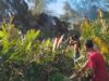 Damkar BPBD Aceh Besar Berhasil Padamkan Kebakaran Lahan di Gampong Ruyung