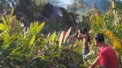 Damkar BPBD Aceh Besar Berhasil Padamkan Kebakaran Lahan di Gampong Ruyung