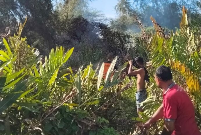 Damkar BPBD Aceh Besar Berhasil Padamkan Kebakaran Lahan di Gampong Ruyung