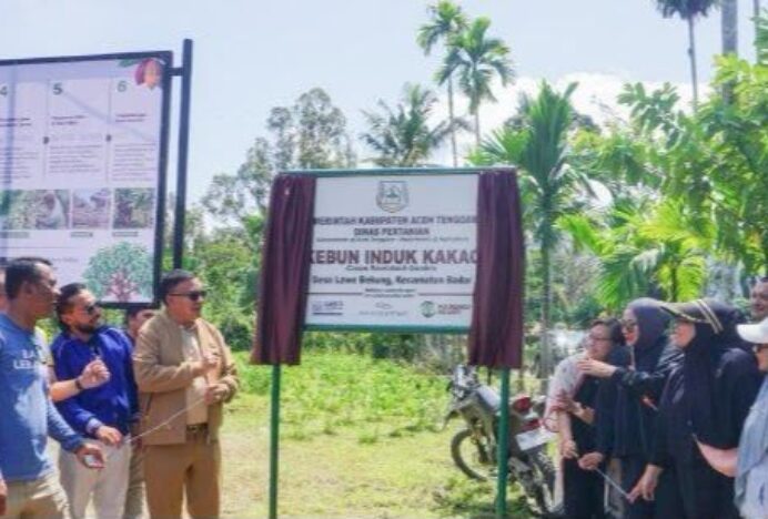 Bupati Luncurkan Kebun Induk Kakao, Aceh Tenggara Perkuat Posisi sebagai Sentra Kakao Unggulan