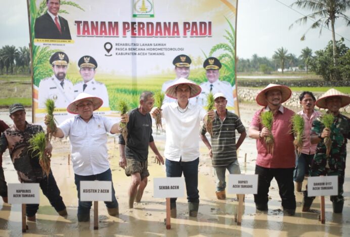 Sekda Aceh Pimpin Tanam Padi Perdana Pasca Bencana
