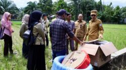 Pemkab Aceh Barat Bantu Mesin Pompa Air pada Sawah Masyarakat