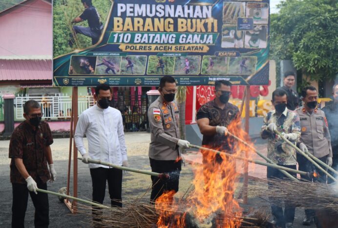 Musnahkan Barang Bukti Ganja, Kapolres Aceh Selatan Tegaskan Komitmen Berantas Narkotika