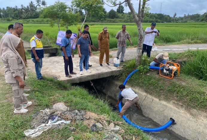 Pemkab Aceh Besar Jaga Produktivitas Sawah di Musim Kemarau