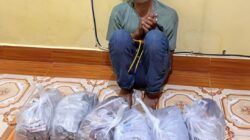 Kurir Ganja 6 Kilogram Ditangkap di Nagan Raya
