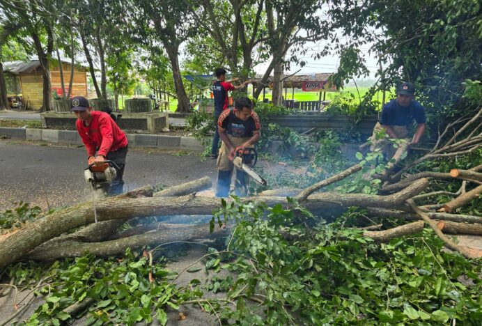 BPBD Aceh Besar Tangani 7 Kejadian Baru Akibat Angin Kencang