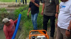 Sawah Petani Lamsie Kecamatan Kuta Cot Glie Terhindar dari Ancaman Kekeringan