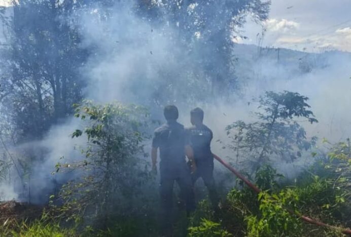 Karhutla Hanguskan Sekitar Satu Hektare Lahan di Atu Lintang