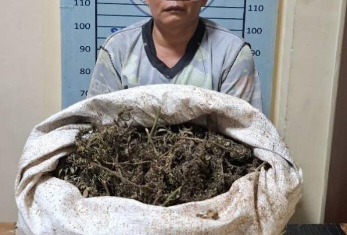 Ganja 4,7 Kg Disembunyikan di Bawah Tempat Tidur, Satresnarkoba Bongkar Peredaran di Ketambe