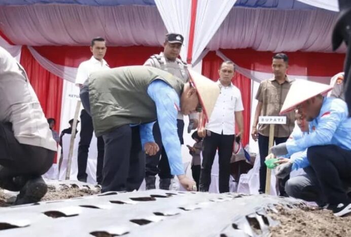 Bener Meriah Targetkan 10 Hektare Lahan Swasembada Bawang Putih