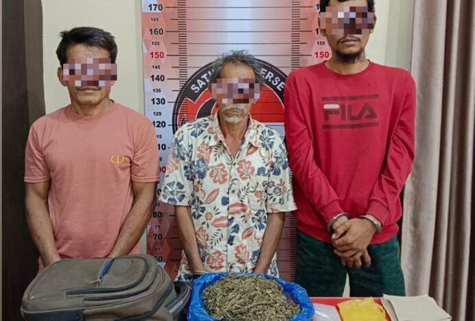 Peredaran Ganja Dibongkar, Polres Aceh Tenggara Amankan 3 Pelaku dan 708,82 Gram Barang Bukti
