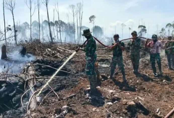 Tim Gabungan Padamkan Kebakaran Hutan dan Lahan di Aceh Selatan