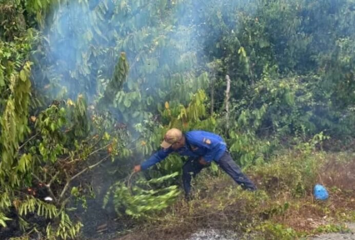 Kebakaran Lahan Blang Raya di Lhokseumawe Berhasil Dipadamkan