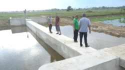 Bendungan Irigasi Lamtimpeung Mulai Beroperasi, Petani Harap Panen Dua Kali Setahun