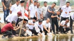Lima Gampong di Aceh Timur Terima 4,2 Juta Benur untuk Pulihkan Tambak Pascabencana