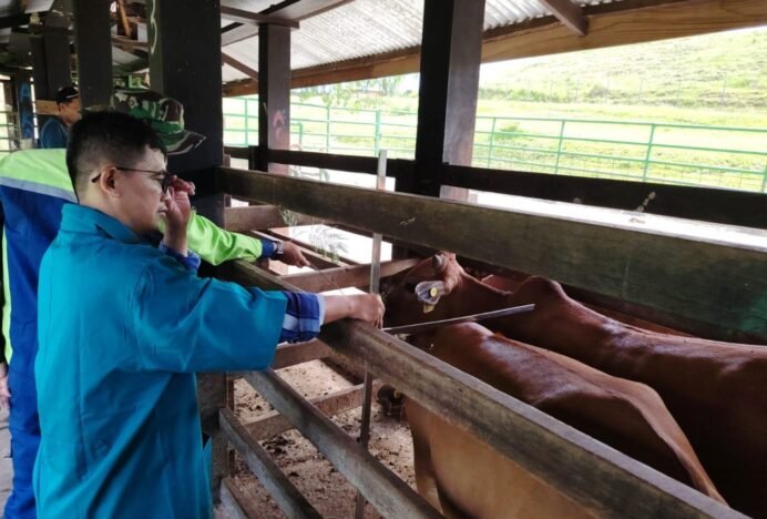 Jamin Mutu Bibit Sapi Aceh, Kementan Gelar Sertifikasi SNI di BPTU HPT Indrapuri
