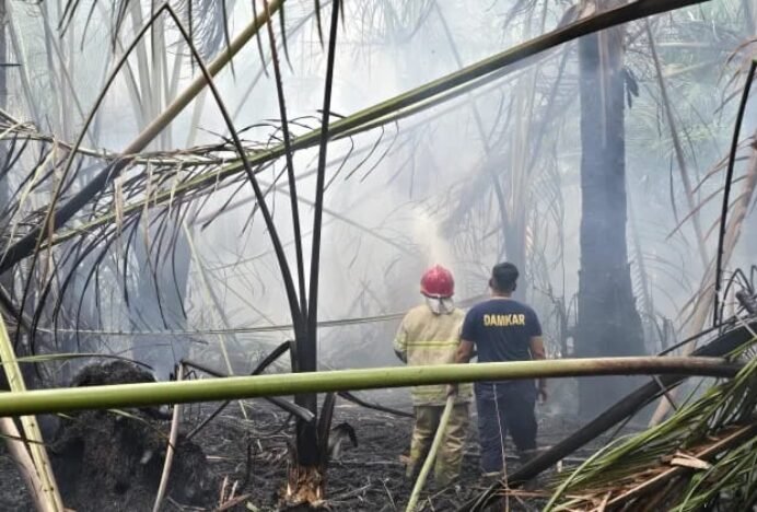 Api Lahap Satu Hektare Lahan Rumbia Dekat Pemukiman Warga Gampong Kayee Adang