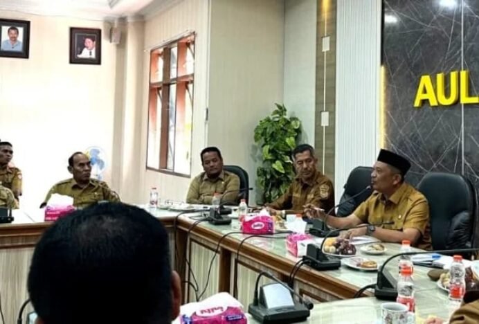 Bibit Kopi Gayo Lues Dibagikan Akhir September