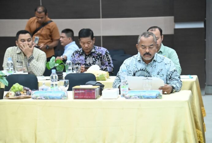 Pemkab Aceh Besar Dukung Sinkronisasi Usulan Program Listrik Pedesaan